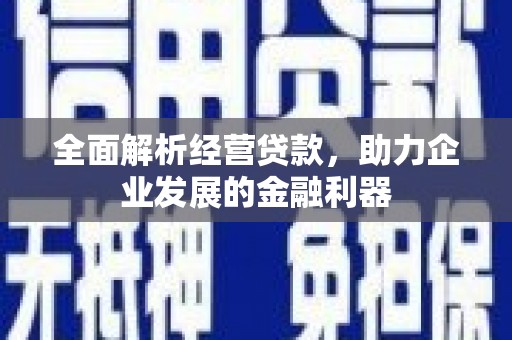 海丰全面解析经营贷款，助力企业发展的金融利器