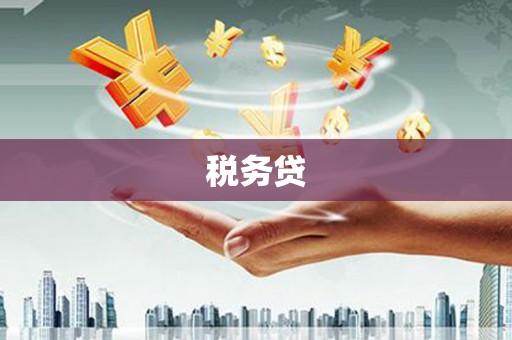 海丰税务贷