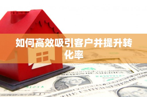 海丰如何高效吸引客户并提升转化率