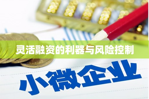 海丰灵活融资的利器与风险控制