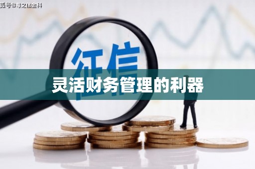海丰灵活财务管理的利器