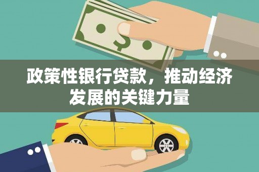 海丰政策性银行贷款，推动经济发展的关键力量