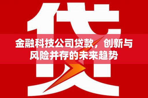 海丰金融科技公司贷款，创新与风险并存的未来趋势