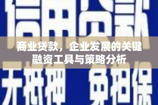 海丰商业贷款，企业发展的关键融资工具与策略分析