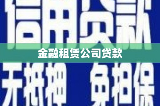 海丰金融租赁公司贷款
