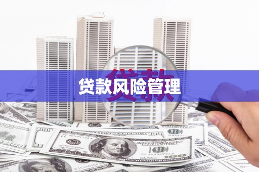 海丰贷款风险管理