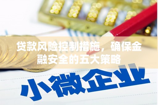 海丰贷款风险控制措施，确保金融安全的五大策略