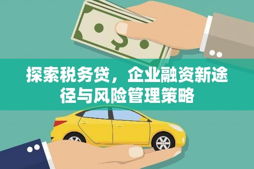 海丰探索税务贷，企业融资新途径与风险管理策略