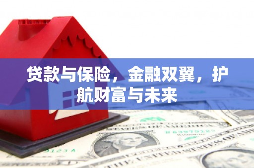 海丰贷款与保险，金融双翼，护航财富与未来