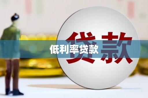 海丰低利率贷款