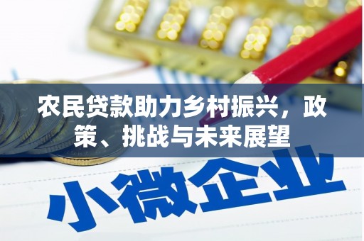 海丰农民贷款助力乡村振兴，政策、挑战与未来展望