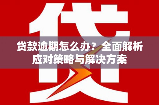 海丰贷款逾期怎么办？全面解析应对策略与解决方案