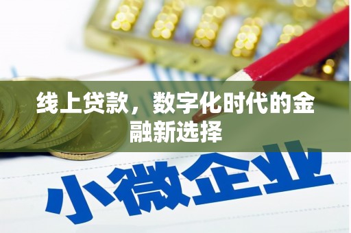 海丰线上贷款，数字化时代的金融新选择
