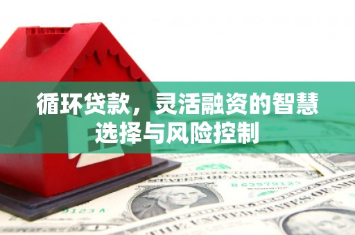 海丰循环贷款，灵活融资的智慧选择与风险控制