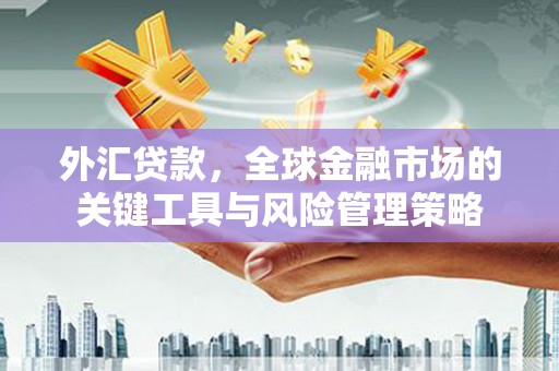 海丰外汇贷款，全球金融市场的关键工具与风险管理策略