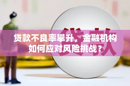 海丰贷款不良率攀升，金融机构如何应对风险挑战？