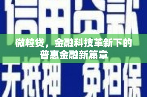 海丰微粒贷，金融科技革新下的普惠金融新篇章