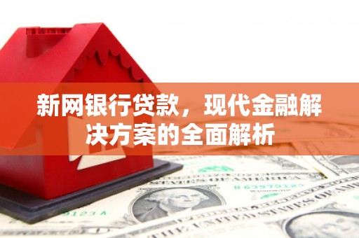 海丰新网银行贷款，现代金融解决方案的全面解析