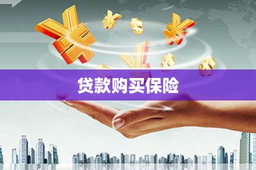 海丰贷款购买保险