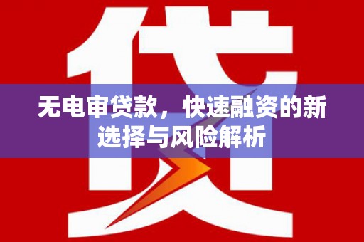 海丰无电审贷款，快速融资的新选择与风险解析