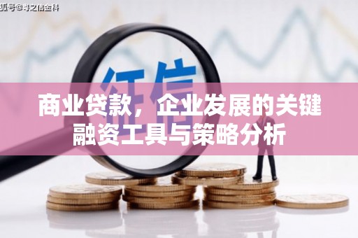 海丰商业贷款，企业发展的关键融资工具与策略分析