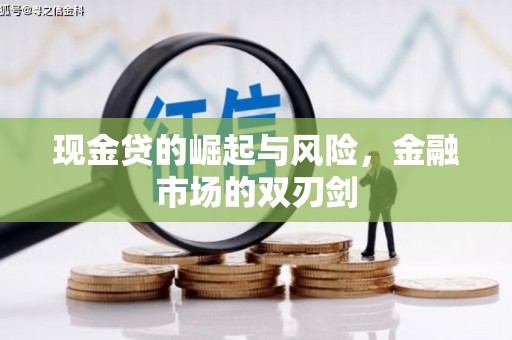 海丰现金贷的崛起与风险，金融市场的双刃剑