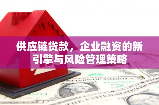 海丰供应链贷款，企业融资的新引擎与风险管理策略