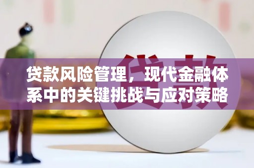 海丰贷款风险管理，现代金融体系中的关键挑战与应对策略