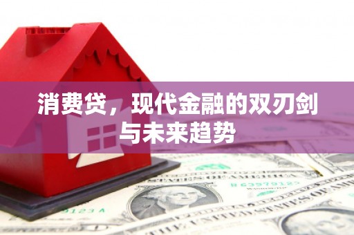 海丰消费贷，现代金融的双刃剑与未来趋势