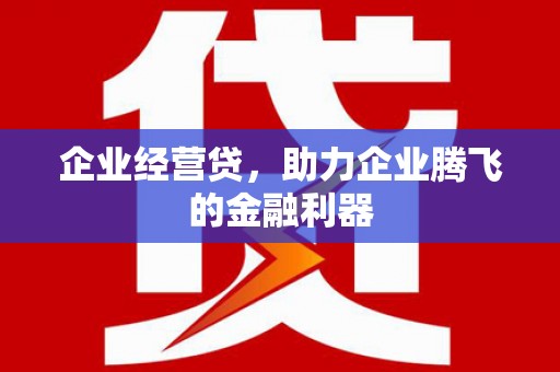 海丰企业经营贷，助力企业腾飞的金融利器