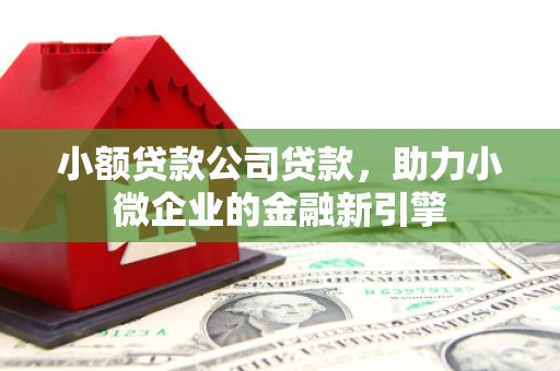 海丰小额贷款公司贷款，助力小微企业的金融新引擎