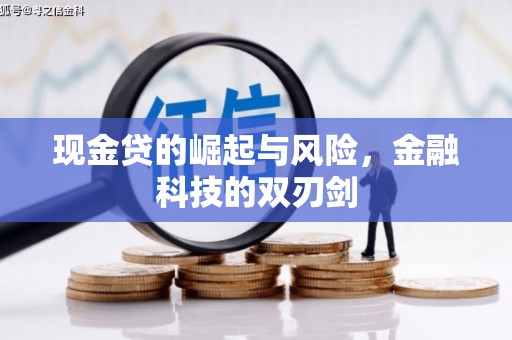 海丰现金贷的崛起与风险，金融科技的双刃剑