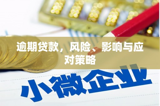 海丰逾期贷款，风险、影响与应对策略