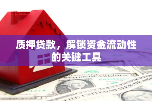 海丰质押贷款，解锁资金流动性的关键工具