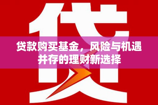 海丰贷款购买基金，风险与机遇并存的理财新选择