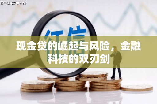 海丰现金贷的崛起与风险，金融科技的双刃剑