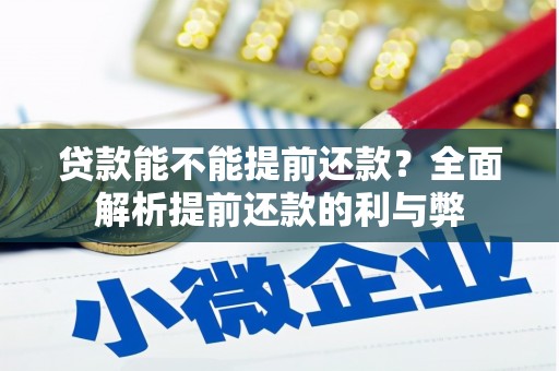 海丰贷款能不能提前还款？全面解析提前还款的利与弊
