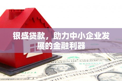 海丰银盛贷款，助力中小企业发展的金融利器