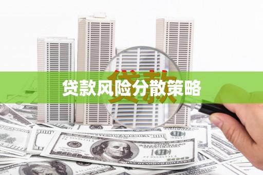 海丰贷款风险分散策略
