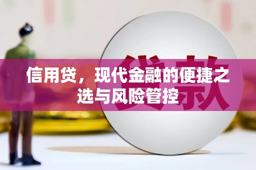 海丰信用贷，现代金融的便捷之选与风险管控