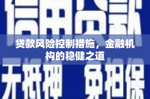 海丰贷款风险控制措施，金融机构的稳健之道