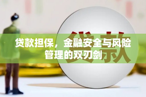 海丰贷款担保，金融安全与风险管理的双刃剑