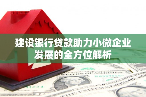 海丰建设银行贷款助力小微企业发展的全方位解析