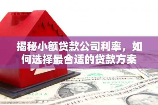 海丰揭秘小额贷款公司利率，如何选择最合适的贷款方案