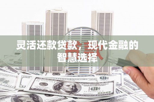 海丰灵活还款贷款，现代金融的智慧选择