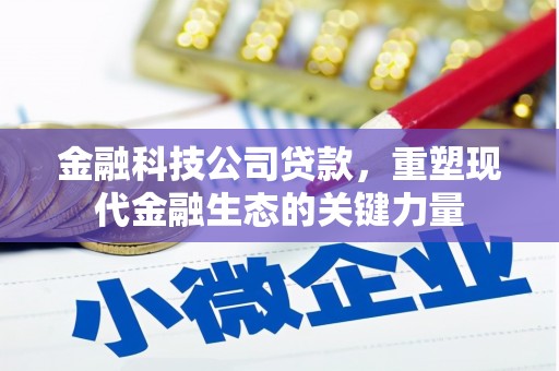 海丰金融科技公司贷款，重塑现代金融生态的关键力量