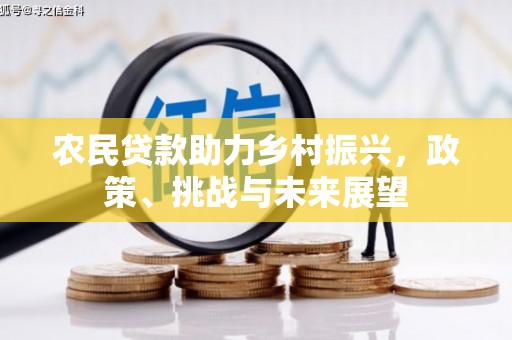 海丰农民贷款助力乡村振兴，政策、挑战与未来展望