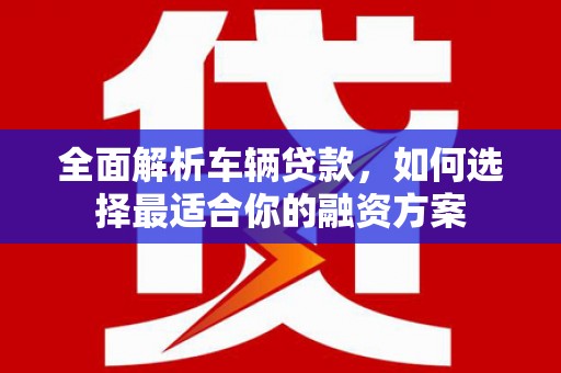 海丰全面解析车辆贷款，如何选择最适合你的融资方案