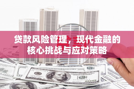 海丰贷款风险管理，现代金融的核心挑战与应对策略
