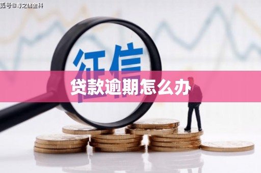 海丰贷款逾期怎么办